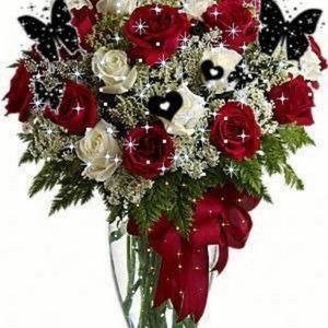 Meet your Posher, Charo